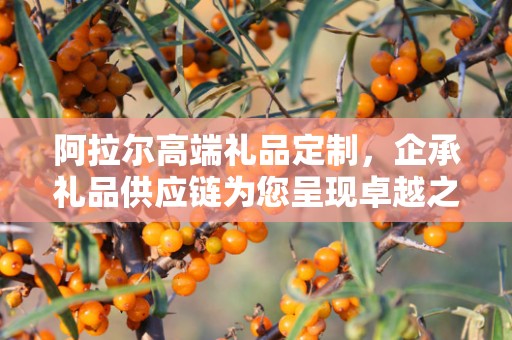阿拉尔高端礼品定制，企承礼品供应链为您呈现卓越之选